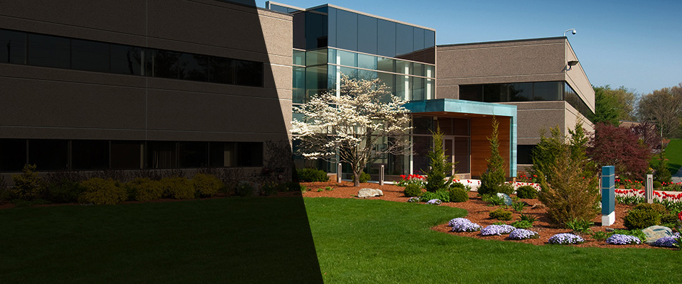 Leland Landscapers