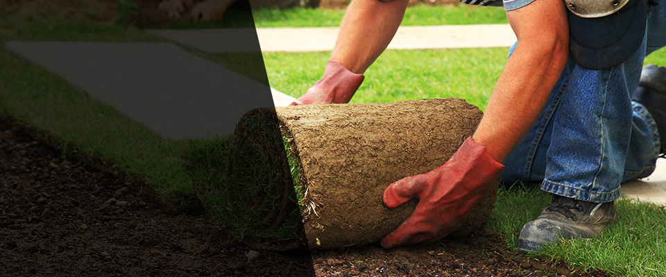 Leland Landscapers